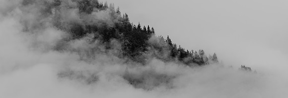Glacier Bay