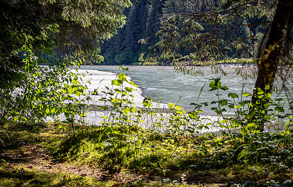 Juneau