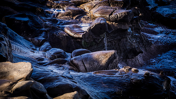 La Jolla Cove 01/09/19