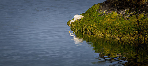 Smith River - Brookings 07/2019