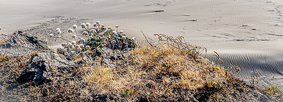 Coast Route 07/2019