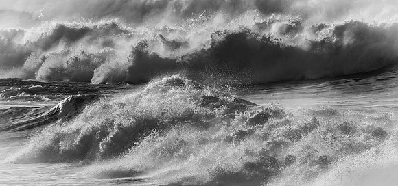 La Jolla Cove 01/09/19