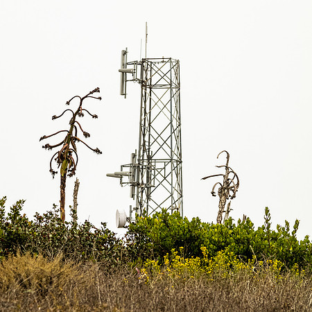 Cabrillo National Monument 08/02/20