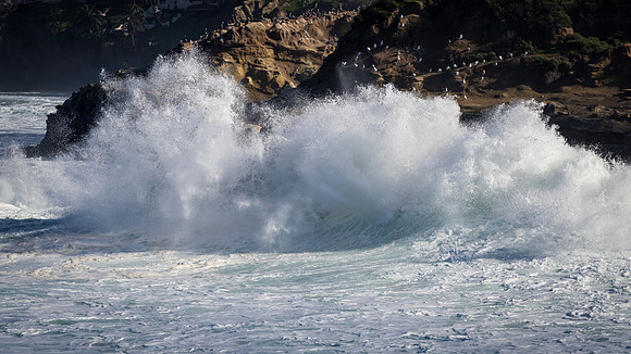La Jolla Cove 01/09/19