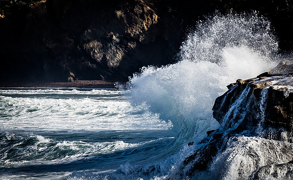 La Jolla Cove 01/09/19