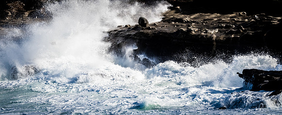 La Jolla Cove 01/09/19