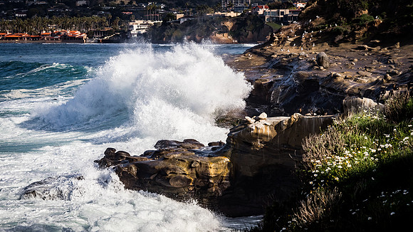 La Jolla Cove 01/09/19