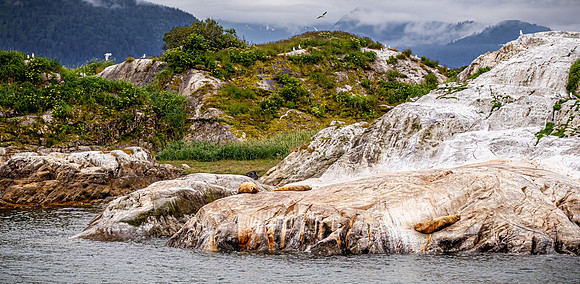 Glacier Bay