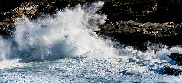 La Jolla Cove 01/09/19