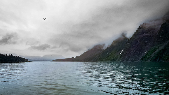 Glacier Bay