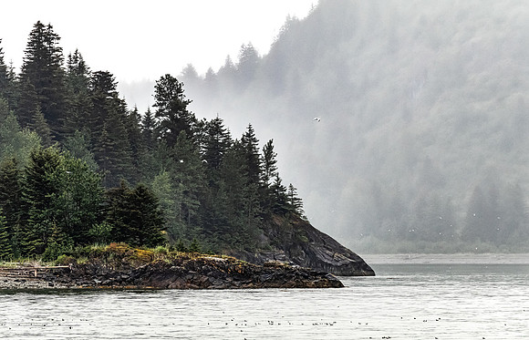 Glacier Bay