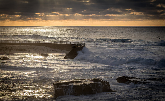 La Jolla Cove 01/09/19