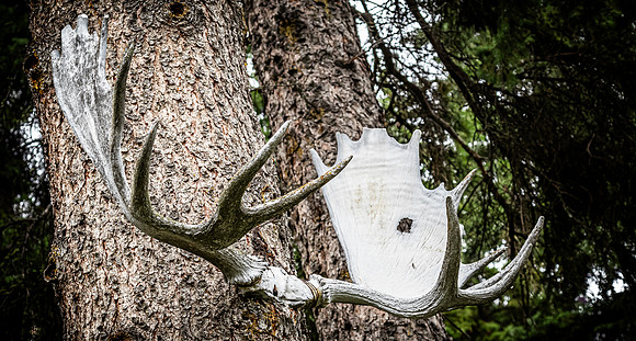 Fairbanks 07/2023