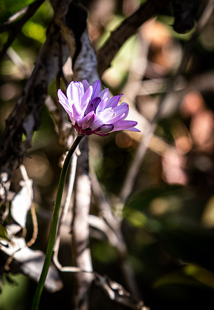 Mission Trails Regional Park 03/18/22