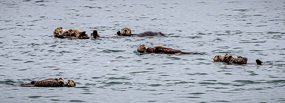 Glacier Bay