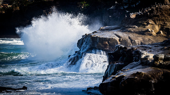 La Jolla Cove 01/09/19