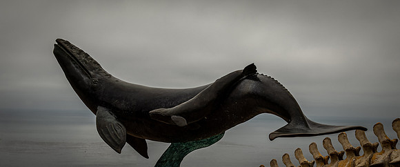 Cabrillo National Monument 08/02/20