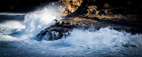La Jolla Cove 01/09/19