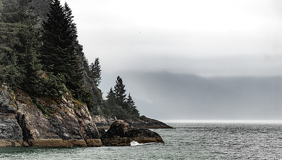 Glacier Bay