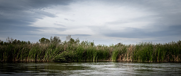 Colorado River, Yuma 04/2021