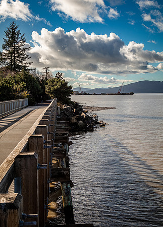 Bellingham, WA 11/2021