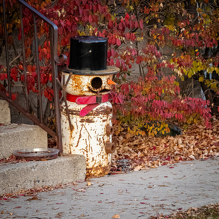 Logan, UT 11/2024